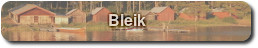 Bleik