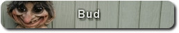 Bud